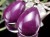 フォスフォシデライト 斜燐鉄鉱 ペンダントトップ Silver925 ヒーリングストーン