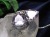 ペンダント アクセサリー 天然石 Silver925 パワーストーン
