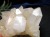 ガルサ 水晶 クォーツ クリスタル ヒマラヤ 4月の誕生石