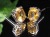 天然石 ピアス アクセサリー Silver925