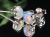 天然石 ピアス アクセサリー Silver925