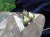 ペンダント アクセサリー 天然石 Silver925 パワーストーン