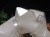 マニカランクォーツ 原石 水晶 マニカラン産 クラスター