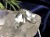 ペンダント.アクセサリー 天然石 Silver925 パワーストーン