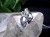 ペンダント アクセサリー 天然石 Silver925 パワーストーン