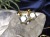 ペンダント.アクセサリー 天然石 Silver925 パワーストーン