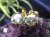 ペンダント.アクセサリー 天然石 Silver925 パワーストーン
