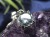 ペンダント.アクセサリー 天然石 Silver925 パワーストーン