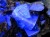 フローライト 原石 結晶 イングランド産 ダイアナマリア鉱山