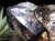フローライト 原石 結晶 イングランド産 ダイアナマリア鉱山