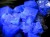 フローライト 原石 結晶 イングランド産 ダイアナマリア鉱山
