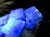 フローライト 原石 結晶 イングランド産 ダイアナマリア鉱山