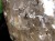 ハーキマーダイヤモンド ハーキマー水晶 結晶 ニューヨーク州ハーキマー地区産 ダイヤモンド
