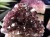 アメジスト 紫水晶 クラスター トルコ ドゥルージー ファントム