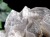 オレンジリバー水晶 スモーキークォーツ 煙水晶 原石 クラスター