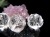 水晶 パワーストーン パーツ クリスタル 彫刻 アクセサリー