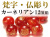 梵字仏彫り珠