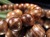 WORLDPOWERSWOOD 世界銘木協会 正規販売店 パワーズウッド 天然木