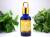 カメリアオイル　椿オイル　日本製　パワーズウッド　ツバキオイル