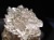 玉璽 ゴールドルチル 彫刻置物 伝国璽 天然石