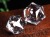 天然水晶 イコサヘドロン 正二十面体 スター 五芒星