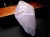 アメジスト 紫水晶 イリデッセンス 天然石 トライゴーニック