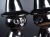 ブラックキャット