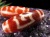 大鵬鳥 紅天珠 メノウ 赤瑪瑙 アゲート