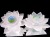 蓮 クリスタルガラス ロータス 置物 蓮の花