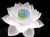 蓮 クリスタルガラス ロータス 置物 蓮の花