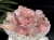 さざれ 細石 ローズクォーツ 紅石英 紅水晶