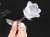 クリスタル 薔薇 ギフト インテリア クリスタルローズ ブラジル産