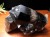 モリオン 黒水晶 厄除け クラスター アーカンソー 原石