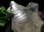 ガネーシュヒマール水晶 ヒマラヤ水晶 水晶クラスター 原石 ガネーシュヒマール ガネーシャ