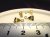 GP-MP-BTC006-2.JPG