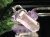 リチウムクォーツ 水晶 ペンダントトップ ポイント ネックレス