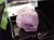 フローライト 蛍石 結晶 原石 オハエラ鉱山