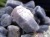 サファイア 青玉 原石 天然石 詰め合わせ