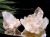 オイルクォーツ 石油入り水晶 結晶 原石