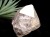 ハーキマーダイヤモンド ハーキマー水晶 結晶 ニューヨーク州ハーキマー地区産 ダイヤモンド