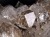 ハーキマーダイヤモンド ハーキマー水晶 母岩付き 原石 ハーキマー地区