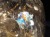 ゴールドルチルクォーツ 丸玉 スフィア 金針水晶 ルチル