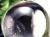 水晶 クリスタル 丸玉 スフィア ガネーシュヒマール