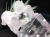 アメジスト 彫刻置物 龍神 辰 竜