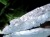 アクアマリン 藍柱石 原石 非加熱 天然石