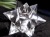 天然水晶 アステロイド 彫り 置物