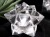天然水晶 アステロイド 彫り 置物