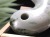 キツネ石 勾玉 ロディン岩 糸魚川