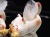 猫 招き猫 ネコ 置物