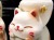 猫 招き猫 ネコ 置物
